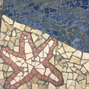 Starfish mosaic