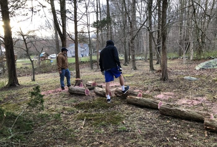 Scout leaders convened to cut down some donated cedar trees. Logs will form the seating in the amphitheater.