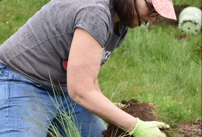 Michelle planting perennials in the meadow