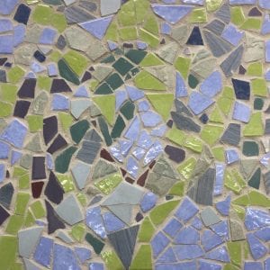 IMG_3563 Seagrass mosaic