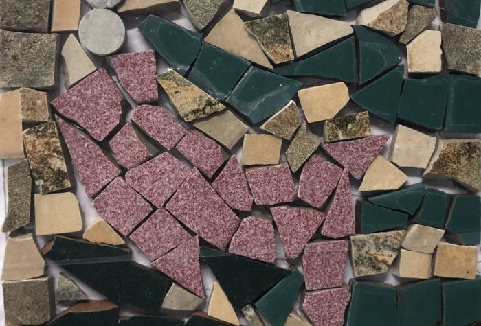 IMG_4904 NHAMS mosaic, pregrout