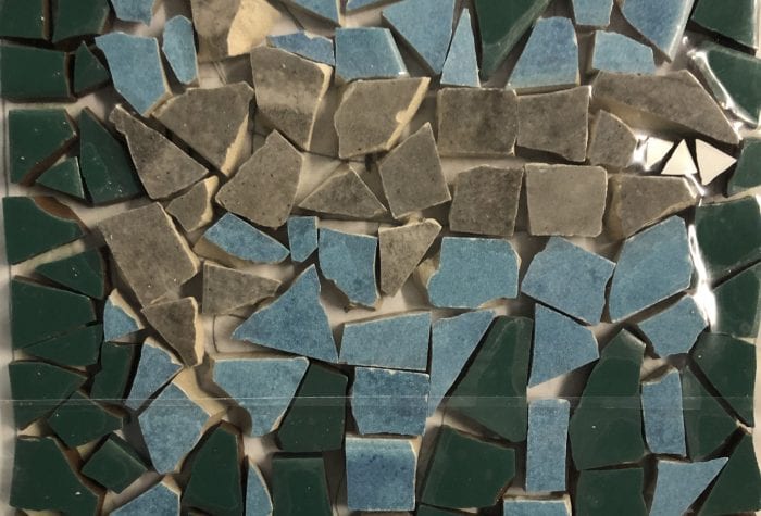IMG_4911 NHAMS shark mosaic, pregrout
