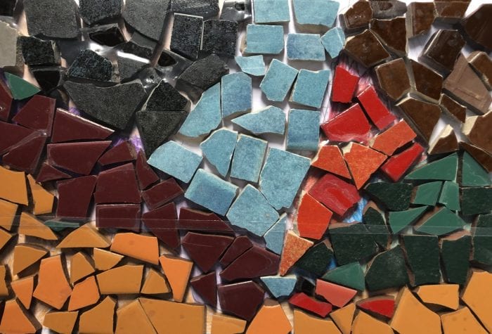 IMG_4959 NHAMS mosaic, pregrout