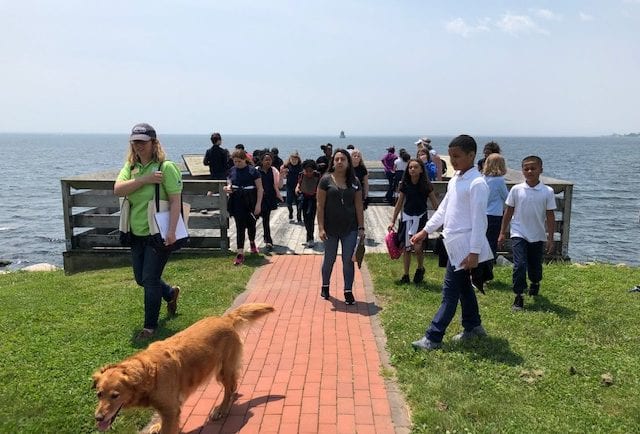 Observation deck along the Art Walk