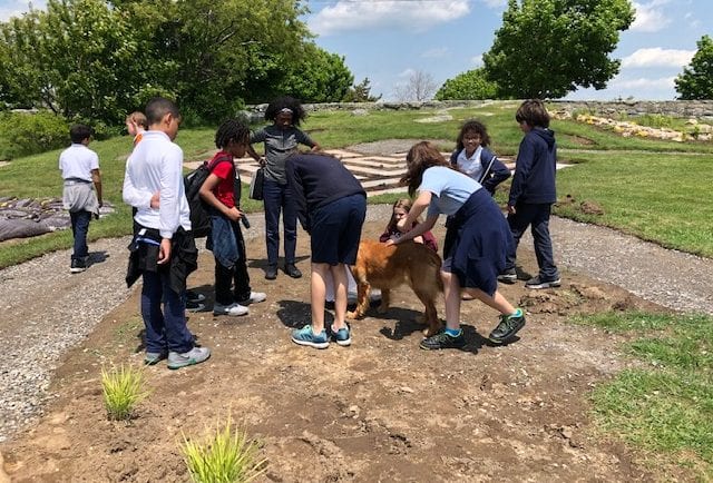 Students greeting Luci in the garden