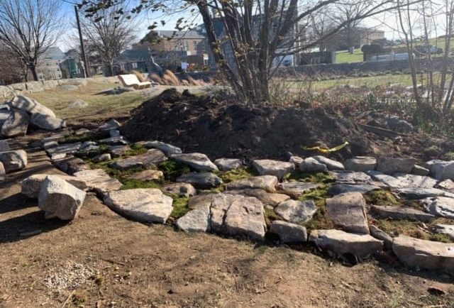 Stone walkway with moss planting